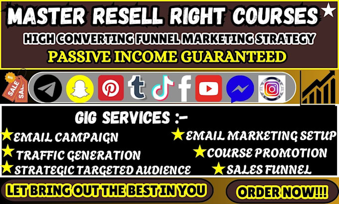 Gig Preview - Boost master resell right, ubc courses sales with email marketing sales funnel