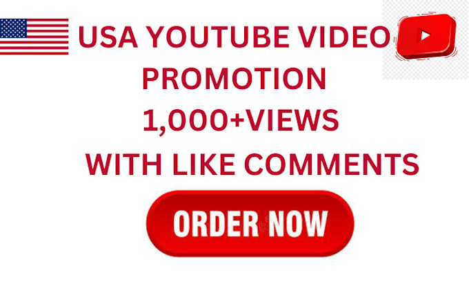 Gig Preview - Do usa youtube video promotion through google ads