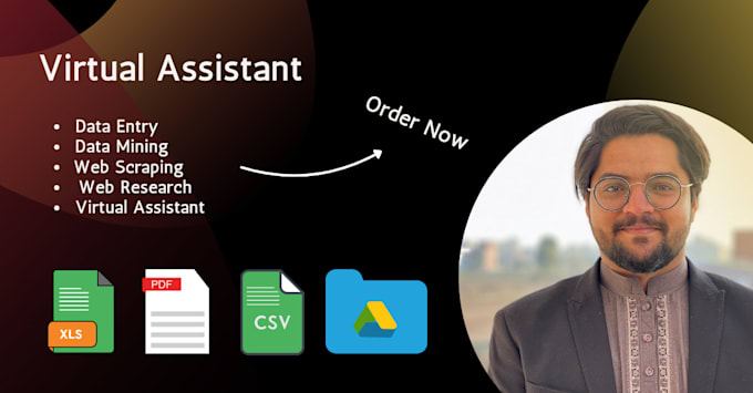 Bestseller - be your virtual assistant for data entry