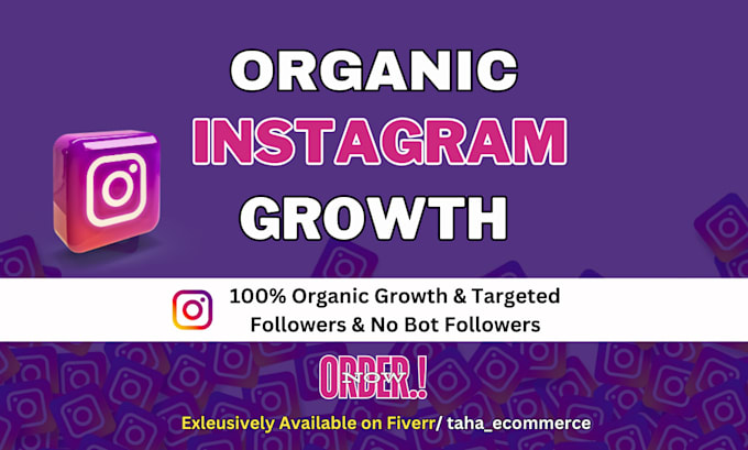 Gig Preview - Do insta promotion for super fast organic instagram growth