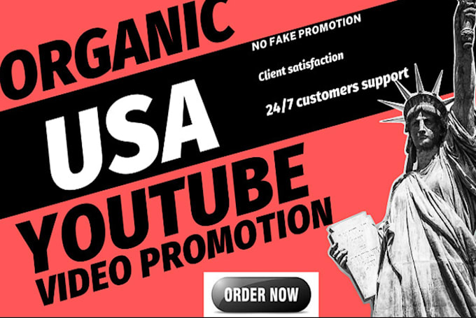 Gig Preview - Do USA youtube video promotion by google ads