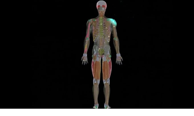 Gig Preview - Do 3d medical animation, medical animation, 3d animation, surgery animation