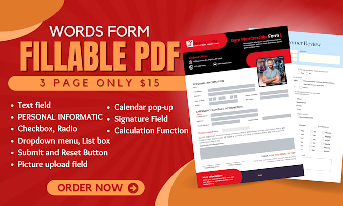 Gig Preview - Create and redesign editable fillable PDF forms, interactive ebooks, and planner