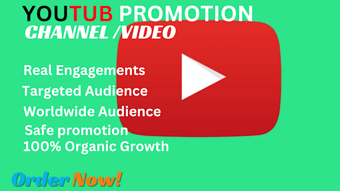 Gig Preview - Do organic youtube video promotion for real growth