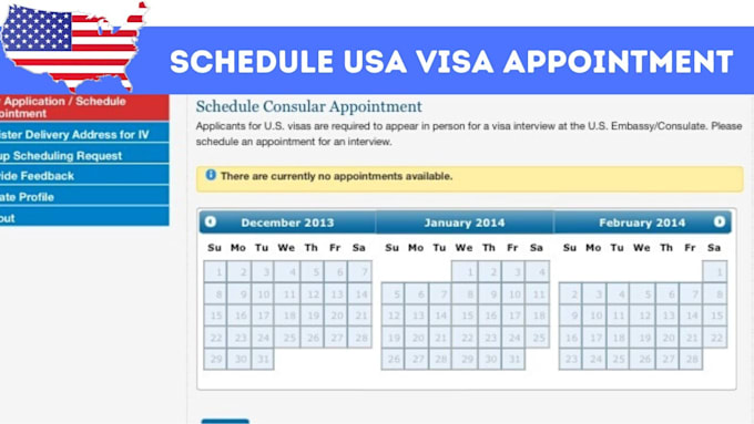 Gig Preview - Code vfs appointment bot, embassy website, visa booking bot, tis bls vfs bot