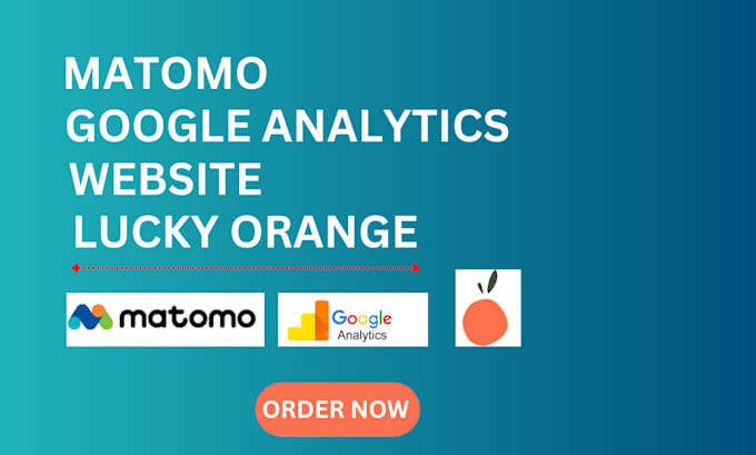 Gig Preview - Website analysis using matomo, lucky orange