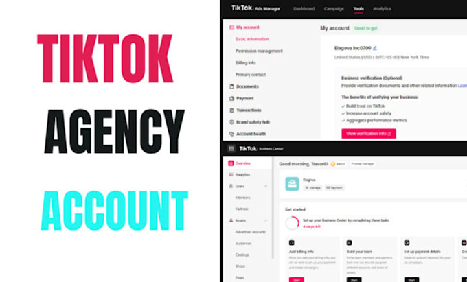 Gig Preview - Create tiktok agency account tiktok ads account for your business