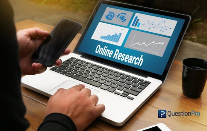 Gig Preview - Conduct market research, pricing and web research for your business