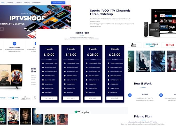 Gig Preview - Create a professional iptv website for your iptv reseller business on wordpress