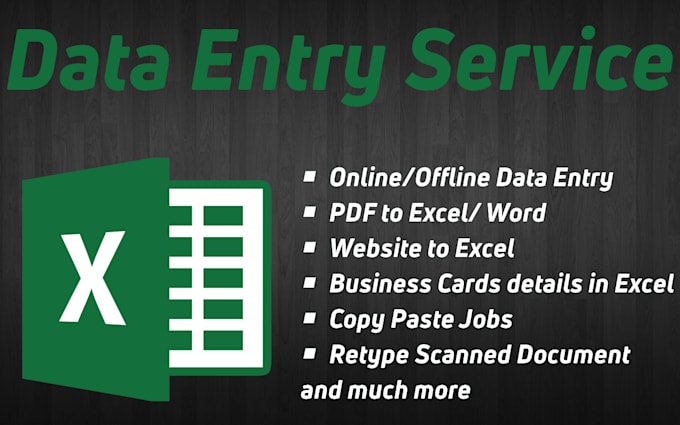 Gig Preview - Be your virtual assistant for any kind of data entry