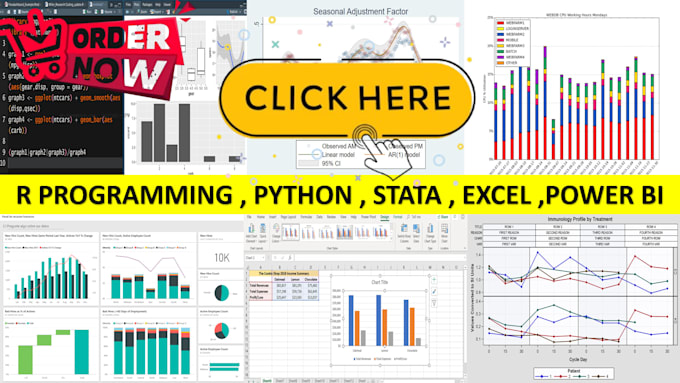 Gig Preview - Data analytics r programming , stata , python and power bi