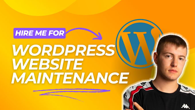 Bestseller - update, fix, and optimize your wordpress website