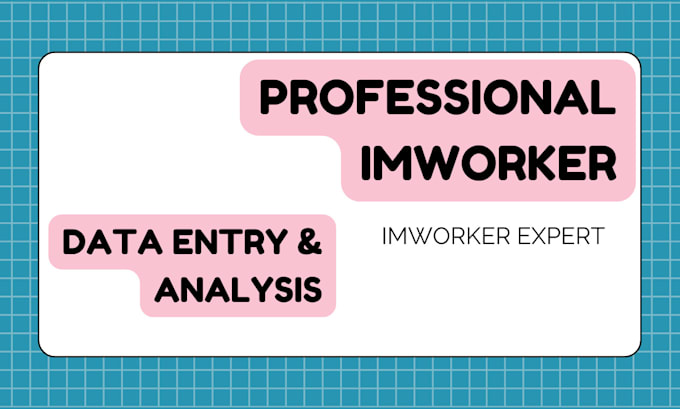 Gig Preview - Be a professional imworker, data analysts and data entry