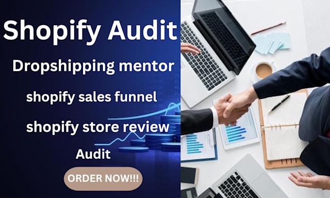 Gig Preview - Professionally audit and review your store