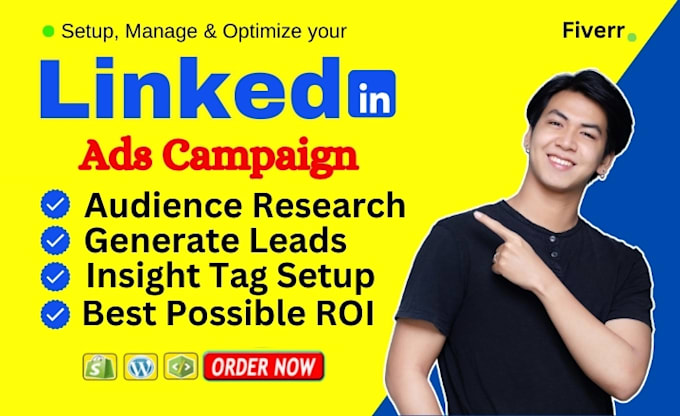 Gig Preview - Be your linkedin ads campaign manager to run effective ads