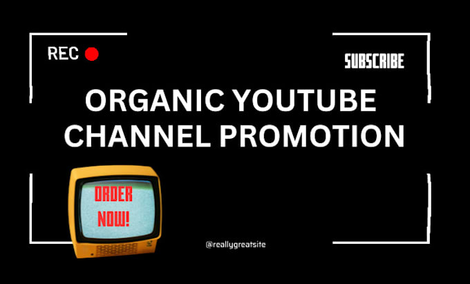 Gig Preview - Do organic youtube channel promotion and monetization