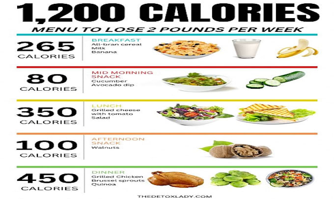 Gig Preview - Do diet plan and balance diet