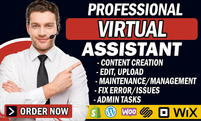 Gig Preview - Be wordpress virtual assistant wordpress VA wordpress assistant wordpress help