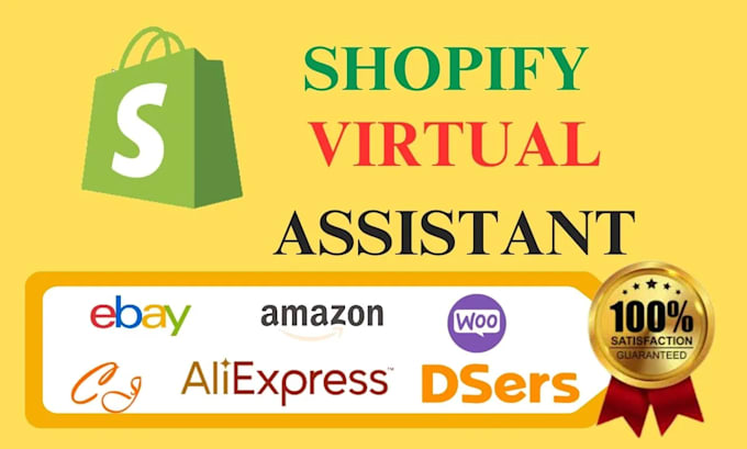 Gig Preview - Manage shopify store as a VA