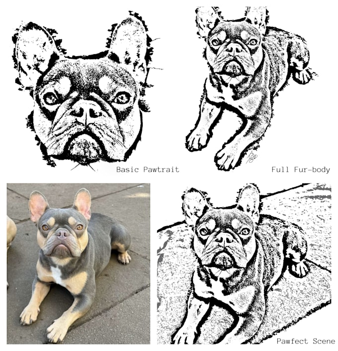 Bestseller - create high detailed drawings of your pet