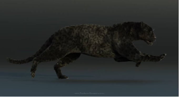 Gig Preview - Do 3d realistic animal animation, 3d rigging, 3d animal model, grooming fur, vfx