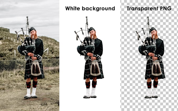 Gig Preview - Do professionally background removal job order now