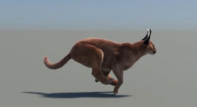 Gig Preview - Create 3d realistic animal animation, 3danimal model, 3d rigging, fur simulation