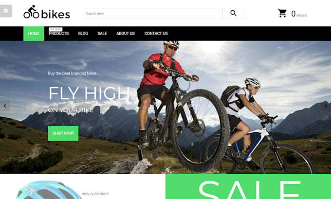 Gig Preview - Design bicycle bike shopify skate bicycle accessories store bicycle website