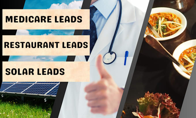 Gig Preview - Do lead generation service for solar, medicare, and restaurant