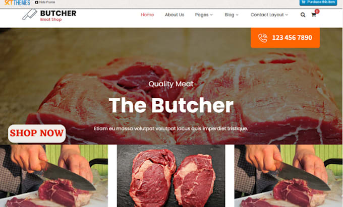 Gig Preview - Design profitable butcher shopify seafood store restaurant website dropshipping