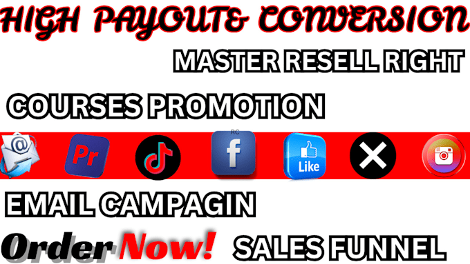 Gig Preview - Do master resell right with email marketing ,sale funnel through passive income