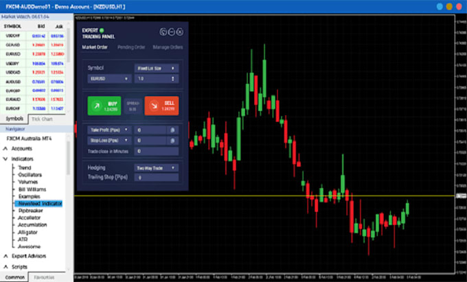 Gig Preview - Develop mt4 mt5 indicator, forex eas, expert advisor, tradingbot