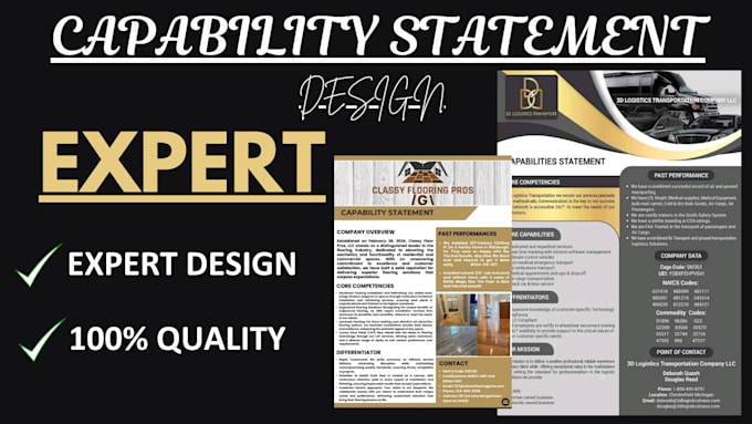 Gig Preview - Design professional and government capability statement with flyer and logo