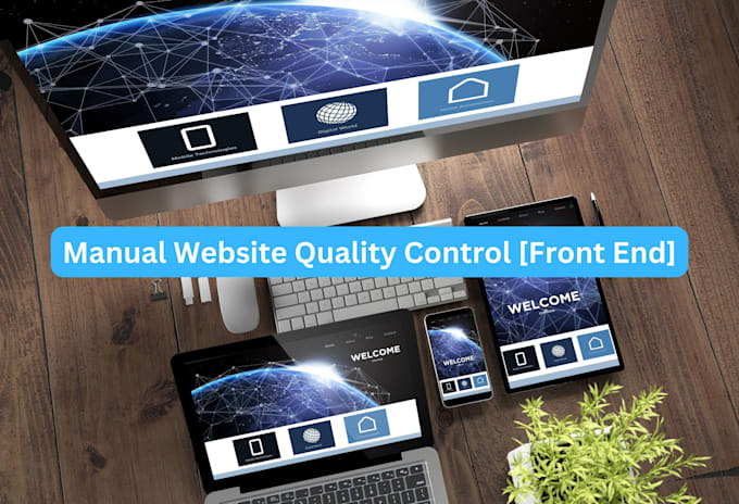 Gig Preview - Do front end manual website quality control check