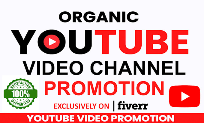 Gig Preview - Do organic youtube video and channel promotion