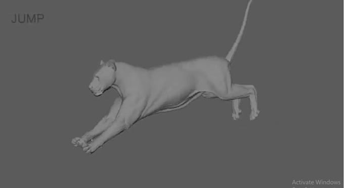 Gig Preview - Photorealistic 3d animal animation, 3d character model vfx cgi xgen groom fur