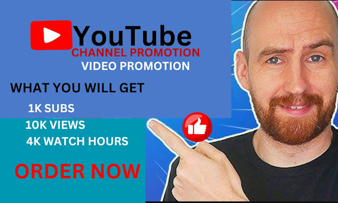 Gig Preview - Do organic youtube channel promotion and monetization