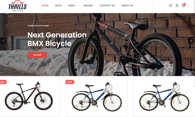 Gig Preview - Design profitable bicycle shopify bike store automobile website dropshipping