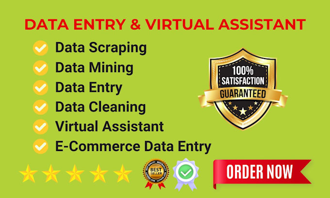 Gig Preview - Do data entry, web research, virtual assistant, copy paste and data mining