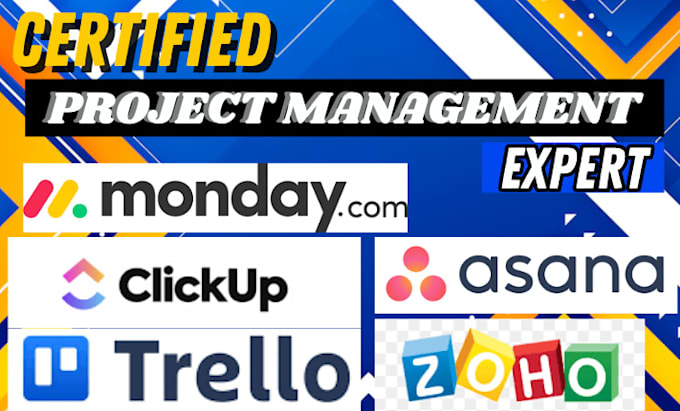 Gig Preview - Be your CRM expert setup customize board workflow integrate with clickup asana