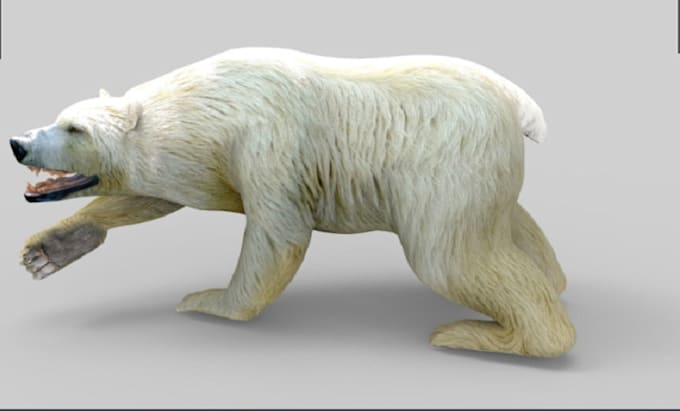 Gig Preview - Do a realistic 3d animal animation, 3d modeling, 3d rendering, animal fur, cgi