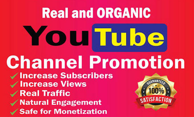 Gig Preview - Do super fast organic youtube video promotion and monetization