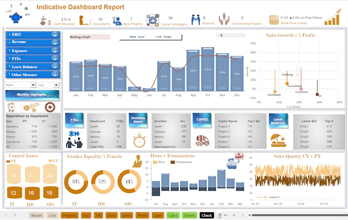 Gig Preview - Create professional excel dashboards with advanced features