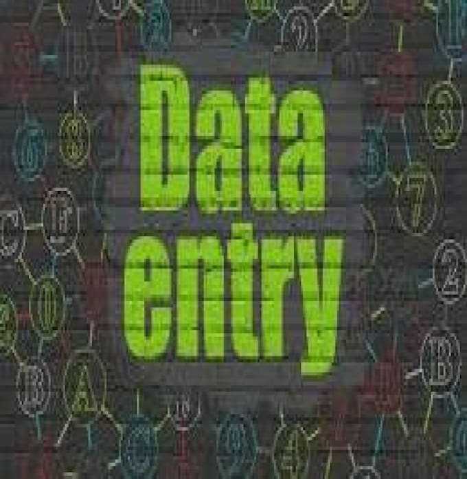 Gig Preview - Do data entry and scraping