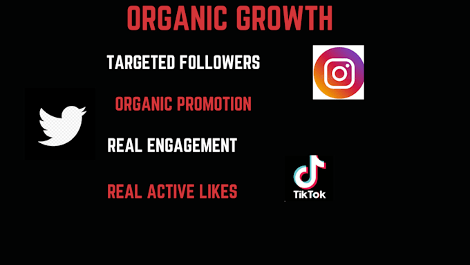 Gig Preview - Do tiktok marketing and video promotion to boost organic 3m follower growth