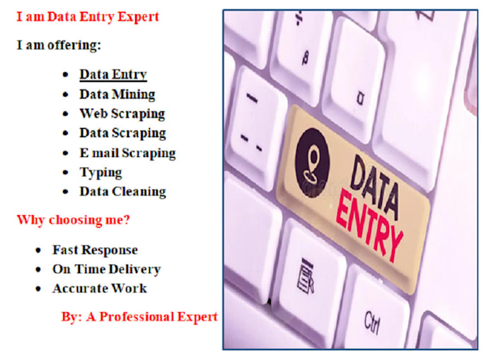 Gig Preview - Do data appending enrichment and data entry projects