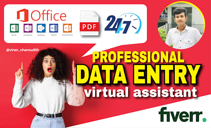 Gig Preview - Be your virtual assistant for data entry