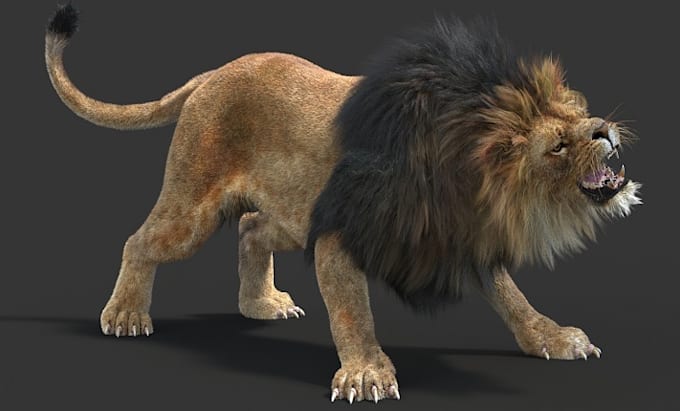 Gig Preview - 3d animal model cgi animal model character modeling 3d animal animation