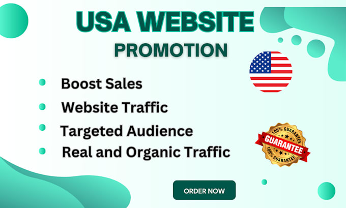 Gig Preview - Drive usa targeted keyword organic website audience