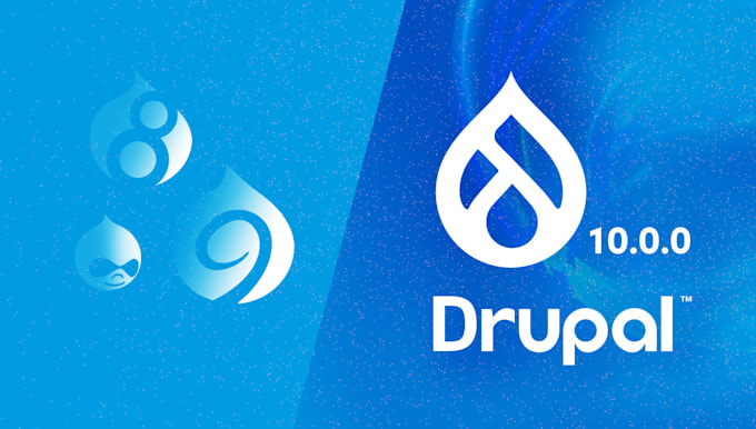 Gig Preview - Install and update your drupal website